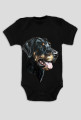 Doberman