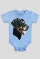 Doberman
