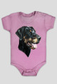 Doberman