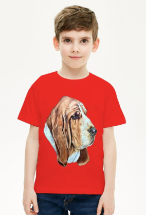 Basset