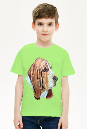 Basset
