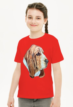 Basset
