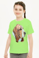 Basset