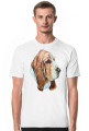 Basset