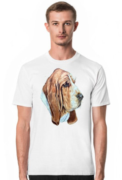 Basset