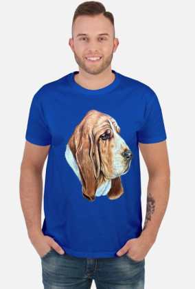 Basset