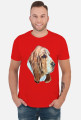 Basset