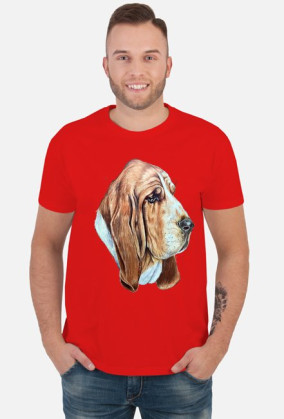 Basset