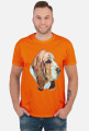Basset