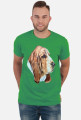 Basset