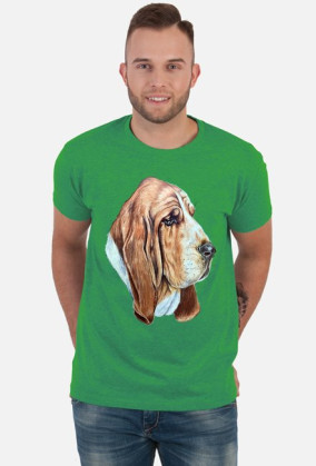 Basset