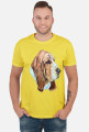 Basset