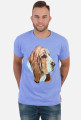 Basset
