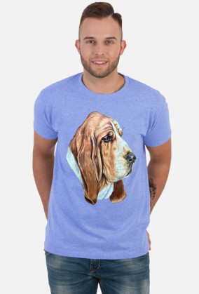 Basset