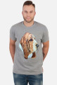 Basset