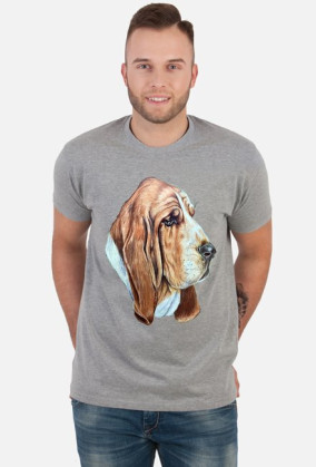 Basset