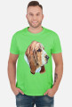Basset