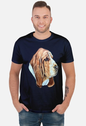Basset