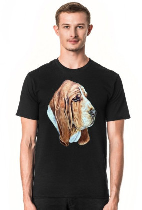 Basset