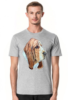 Basset