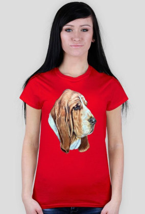 Basset
