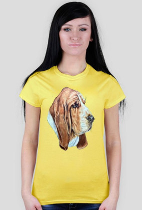 Basset