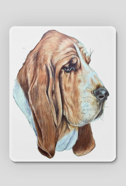 Basset