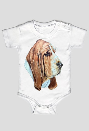 Basset
