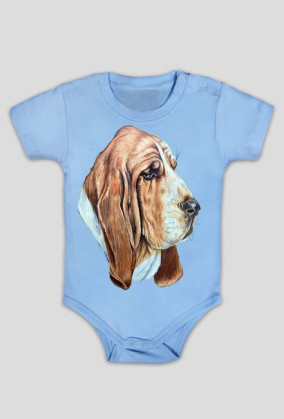 Basset