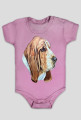 Basset