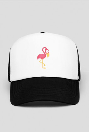 Flamingo trip