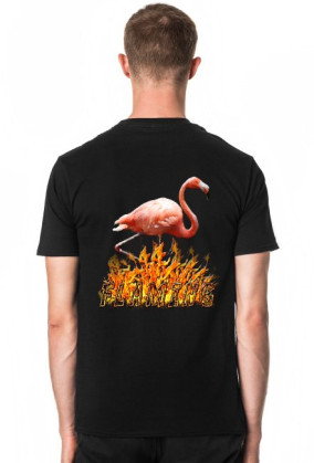 Flaming