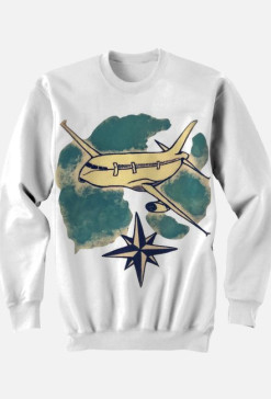 plane on the sky