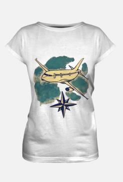 plane on the sky