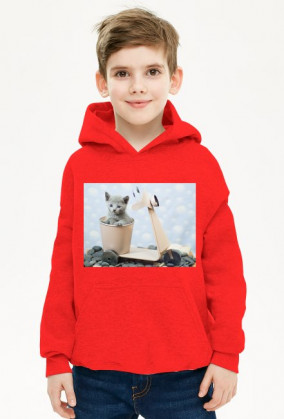 Bluza dla chłopca kot w skuterku