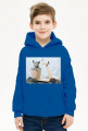Bluza dla chłopca kot w skuterku