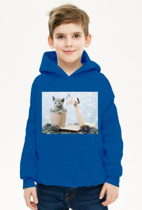 Bluza dla chłopca kot w skuterku