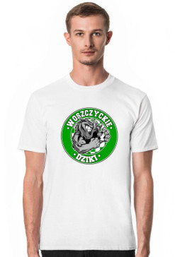 Tishirtka