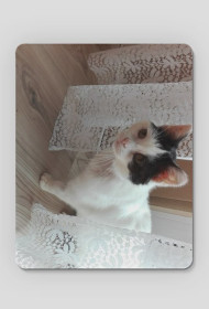 Podkładka pod mysz kotka za firanką