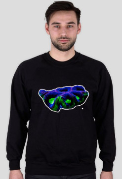 Bluza-Dragon-Soul