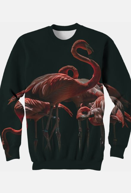 Bluza damsko-męska