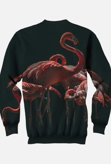 Bluza damsko-męska