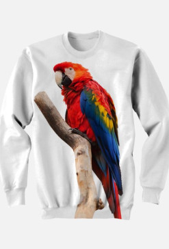 Bluza damsko-męska (unisex)