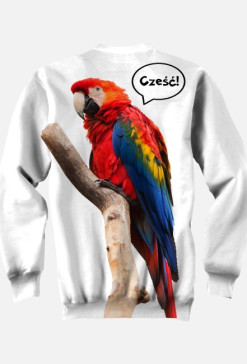 Bluza damsko-męska (unisex)