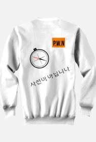 Pwn isn’t dictionary sweatshirt