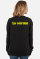 Knightrrider Team log