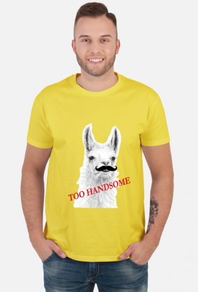 T Shirt męski Too handsome