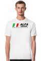 alfa-design 1