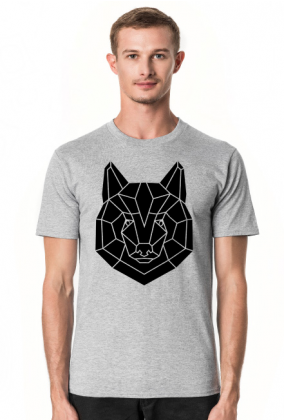 Geometrical Wolf