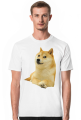 Pieseł Doge koszulka (różne kolory)